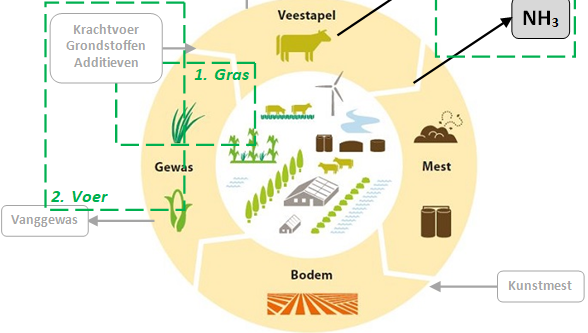 Kringloop melkveebedrijf, waarbij de focus van dit projectvoorstel is weergegeven. Doel: verlagen van ammoniak- en methaanemissie