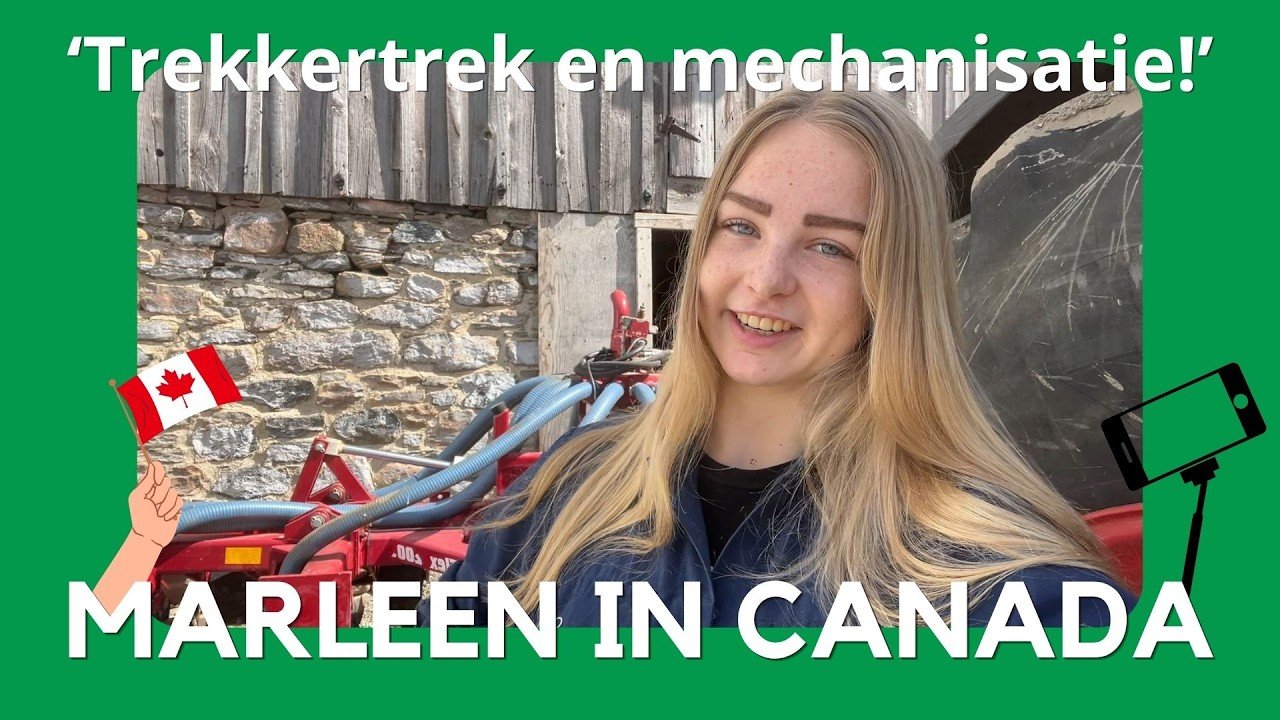 marleen-lok-2