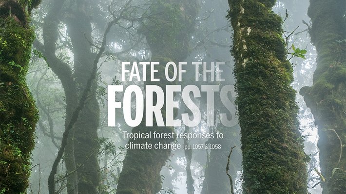 Cover van vakblad Science van maart 2025