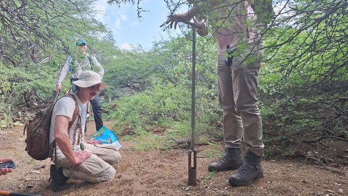 Studenten van HVHL nemen een bodemmonster in het Washington Slagbaai Park