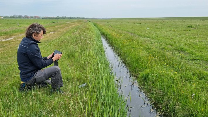 Onderzoeker met tablet zit bij sloot in weiland Terschelling
