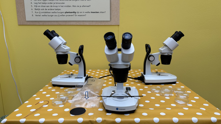 natuurmuseum fryslan 2025 3