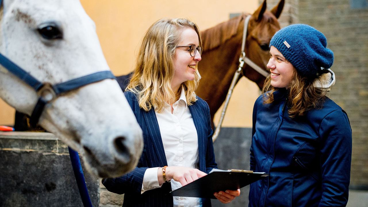 Twee studenten Equine Sports and Business bespreken resultaten onderzoek naast wit paard