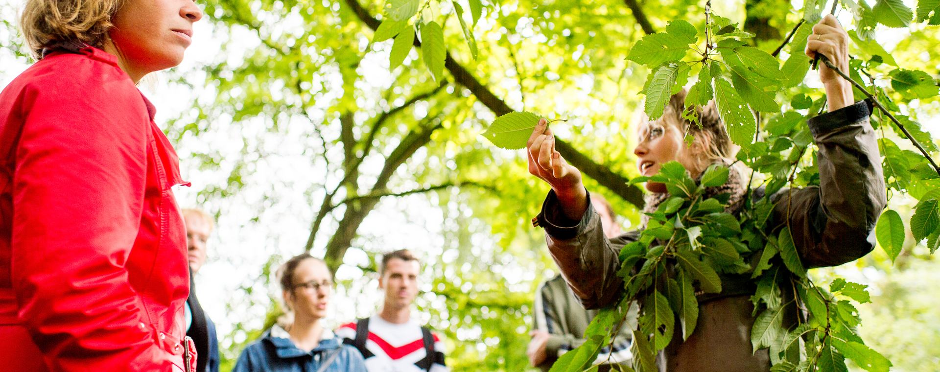 Studenten Tuin- en Landschapsinrichting tijdens buitenles op landgoed Larenstein