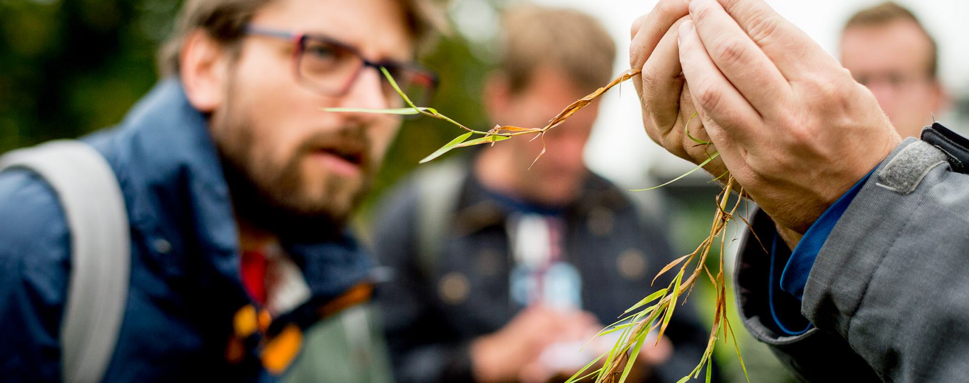 Studenten bos- en natuurbeheer tijdens buitenles
