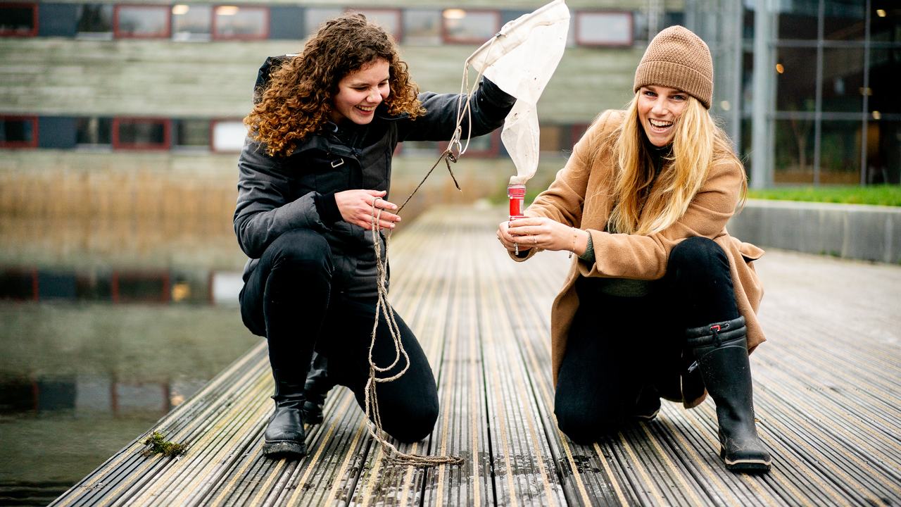 HVHL-MK-opdracht-studenten