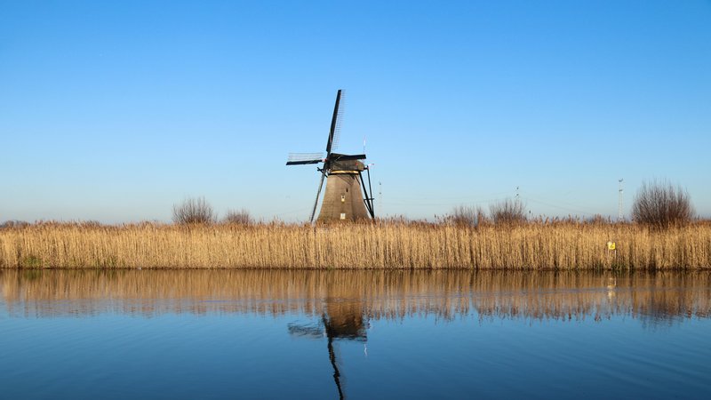 Nederlands landschap met molens