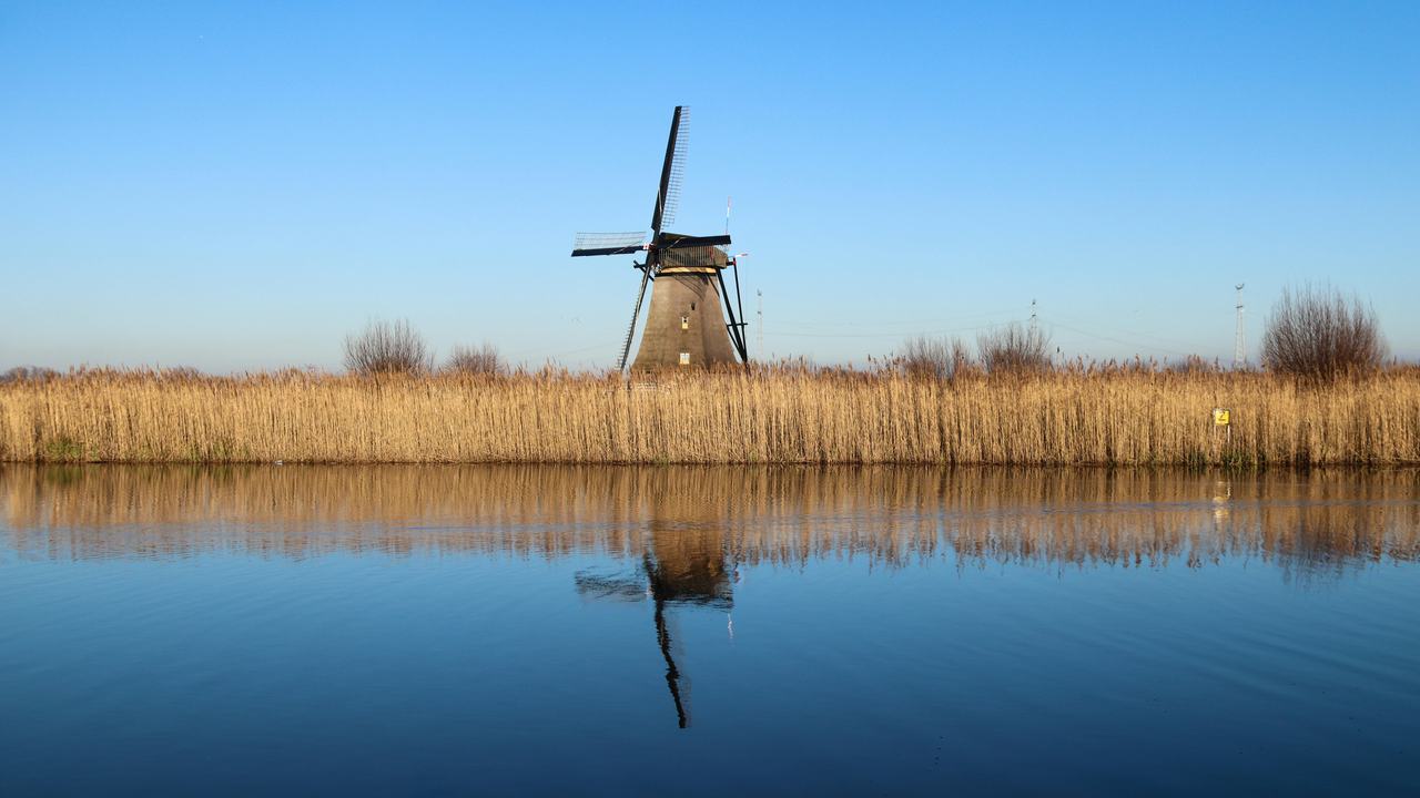 Nederlands landschap met molens