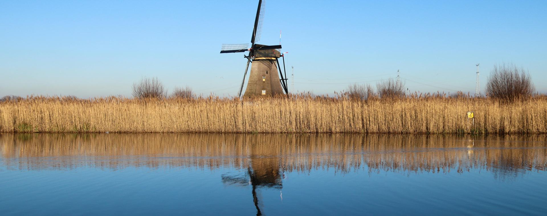 Nederlands landschap met molens