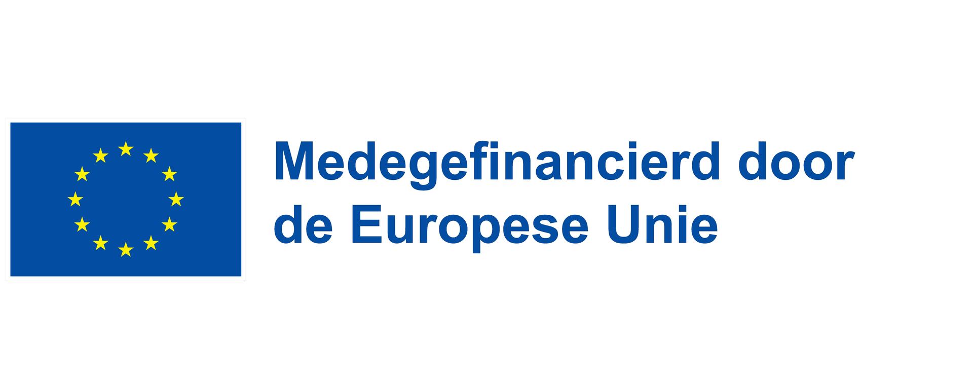 Logo medegefinancierd door EU - Blauw - Rechthoek