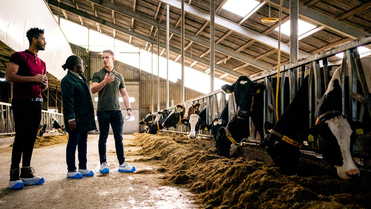 Studenten IDCM bestuderen bedrijfsvoering in de Dairy Campus Leeuwarden