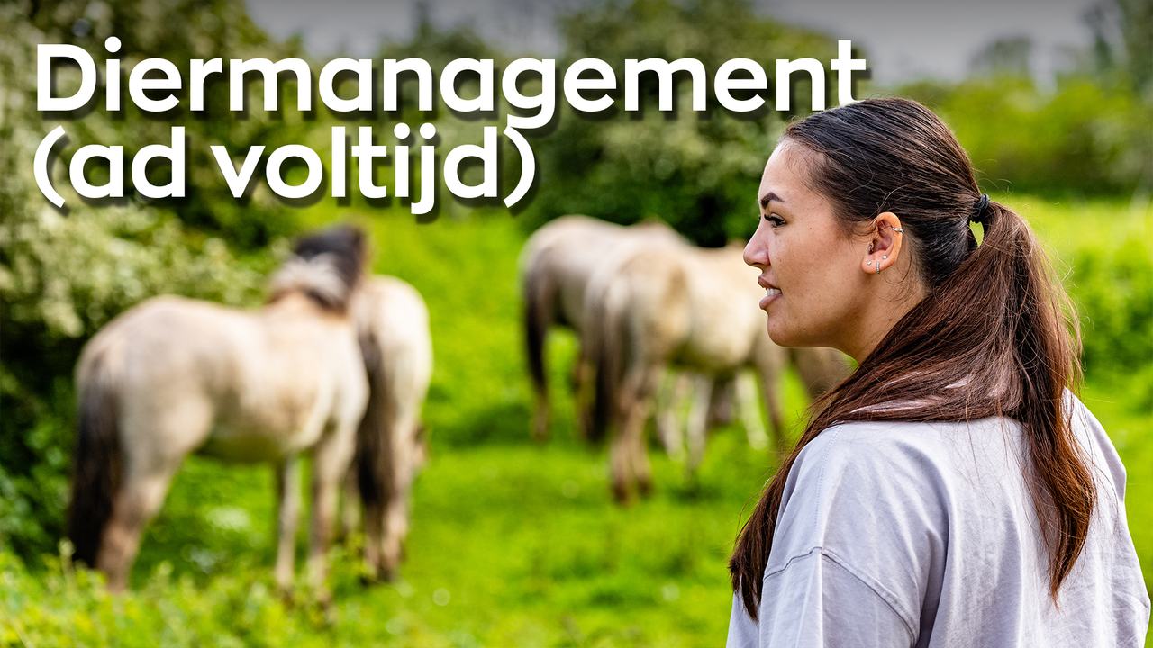 Video over ad Diermanagement