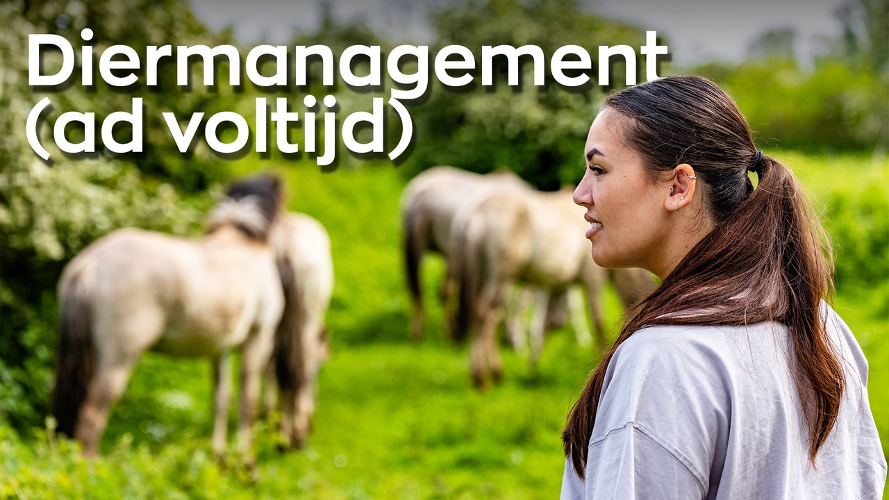 Video over ad Diermanagement