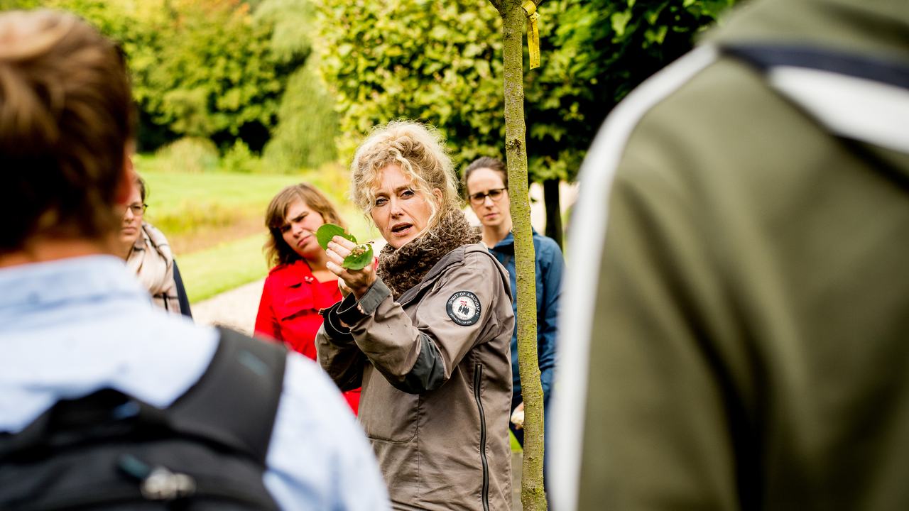 HVHL studenten krijgen buiten les over bomen