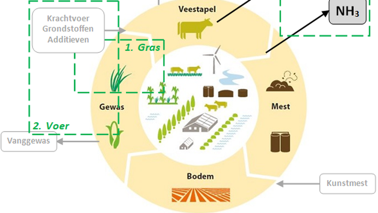 Kringloop melkveebedrijf, waarbij de focus van dit projectvoorstel is weergegeven. Doel: verlagen van ammoniak- en methaanemissie