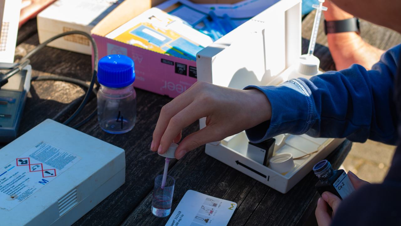 landgoedexpeditie experiment