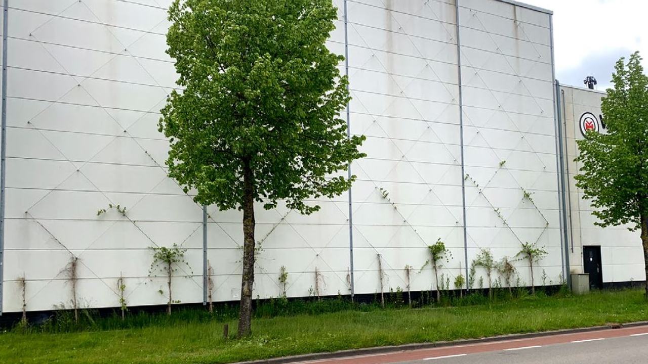 Zijkant industrieel gebouw met aanplant nieuwe klimplanten en bomen