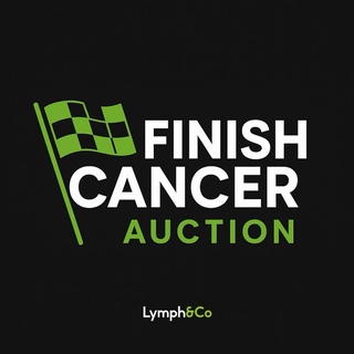 Image of F1 Dutch Grand Prix auction for Lymph&Co