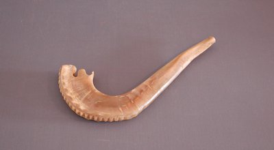 Jom Kippoer sjofar.jpg