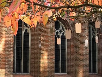 De Pandhof in de Herfst, foto Femke Lockefeer