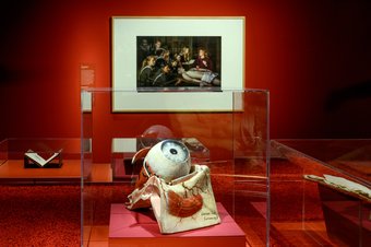 De schepping van de wetenschap, blik naar binnen. Foto Mike Bink