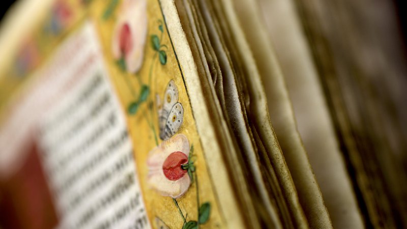 Tentoonstelling Magische miniaturen, sfeerbeeld van pagina met bloemen, collectie Museum Catharijneconvent, foto Marco Sweering, 2018