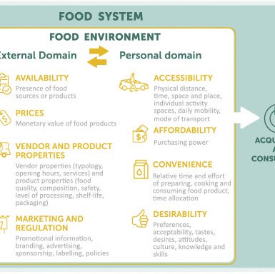 conceptual framework food environment.jpg