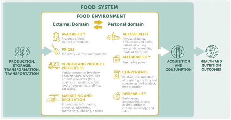 conceptual framework food environment.jpg