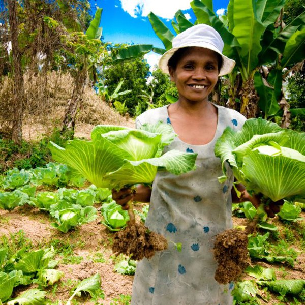 3PHOTO__Madagascar_Cabbage_Farmer-min.jpeg