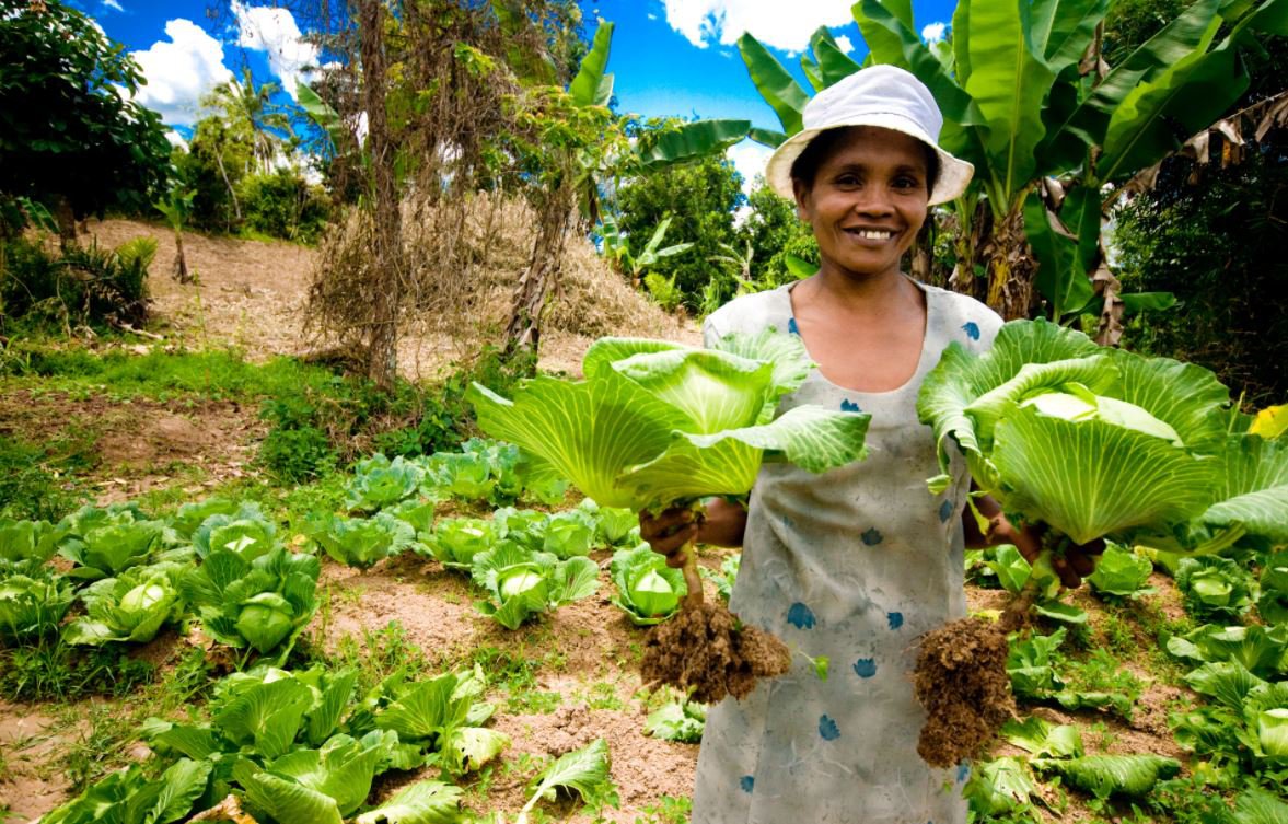 3PHOTO__Madagascar_Cabbage_Farmer-min.jpeg