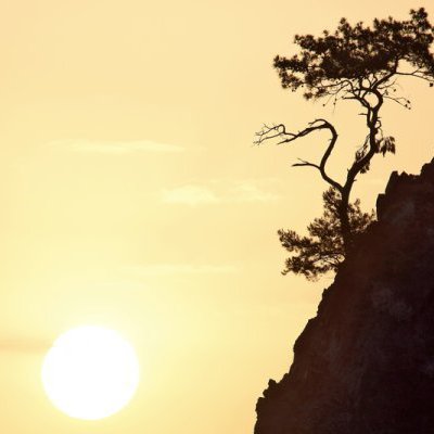 626bb525-0d7f-4cdb-b136-f75eac636bb4_Resilience 53df4892-3768-4c15-9010-565be0a2210c_shutterstock_1101560702_006ddd2d_750x400_baf39679_750x400.jpg