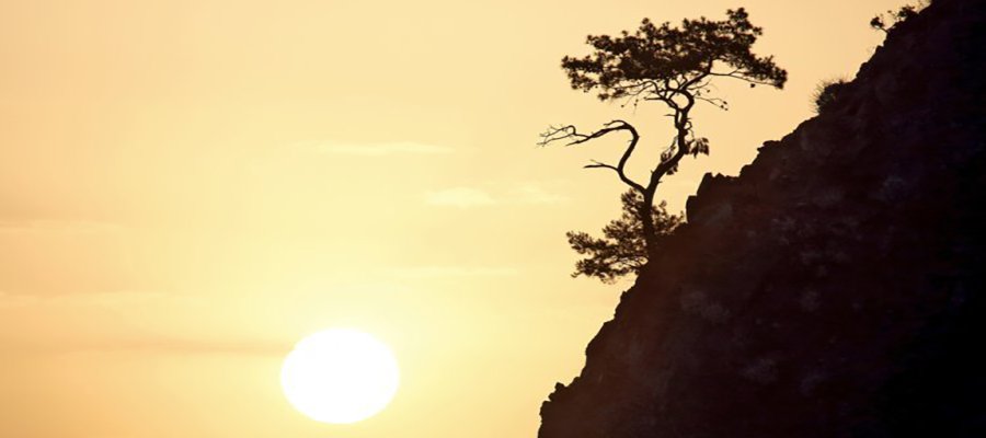 626bb525-0d7f-4cdb-b136-f75eac636bb4_Resilience 53df4892-3768-4c15-9010-565be0a2210c_shutterstock_1101560702_006ddd2d_750x400_baf39679_750x400.jpg