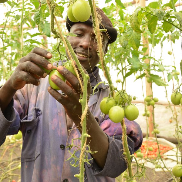 Knowledge & Expertise - Horticulture