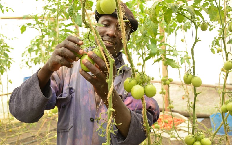 Knowledge & Expertise - Horticulture