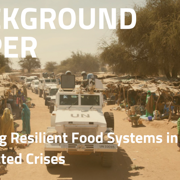 Building Resilient Food Systems in Protracted Crises (1).png