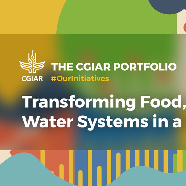 CGIAR_Initiatives Portfolio launch_1 General Card-02.png
