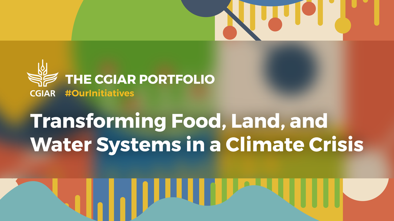 CGIAR_Initiatives Portfolio launch_1 General Card-02.png