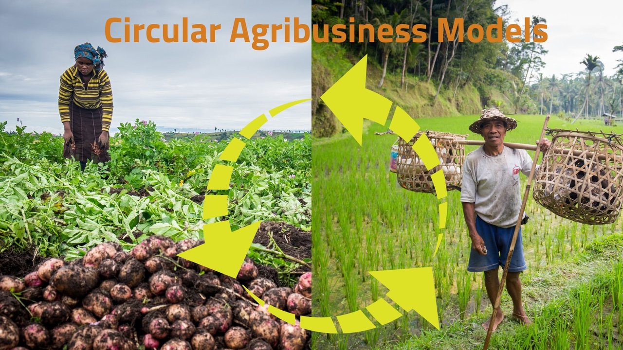Circular Agribusiness Models.jpg