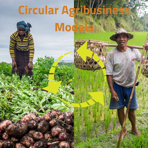 Circular Agribusiness Models (1920 x 1920 px) (1).png
