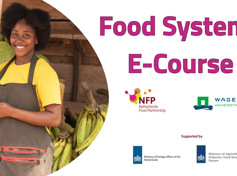 Food Systems E-Course