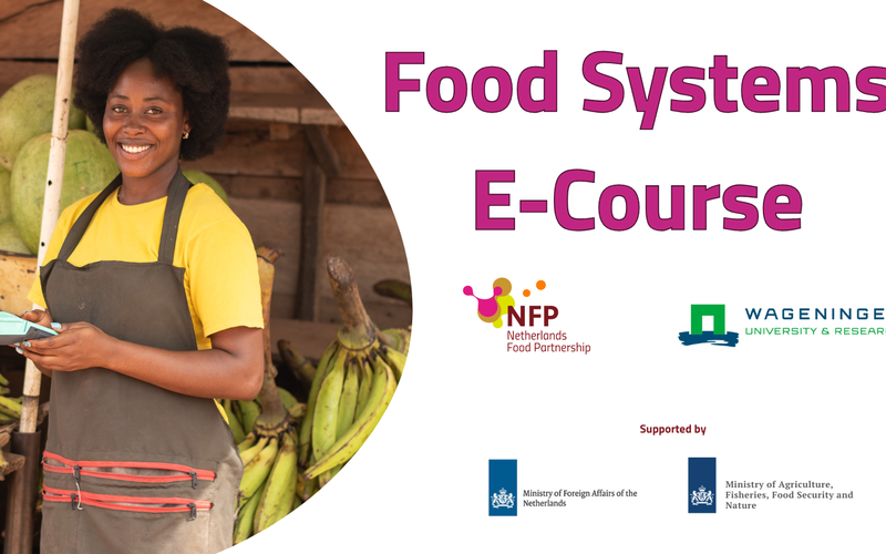 Food Systems E-Course
