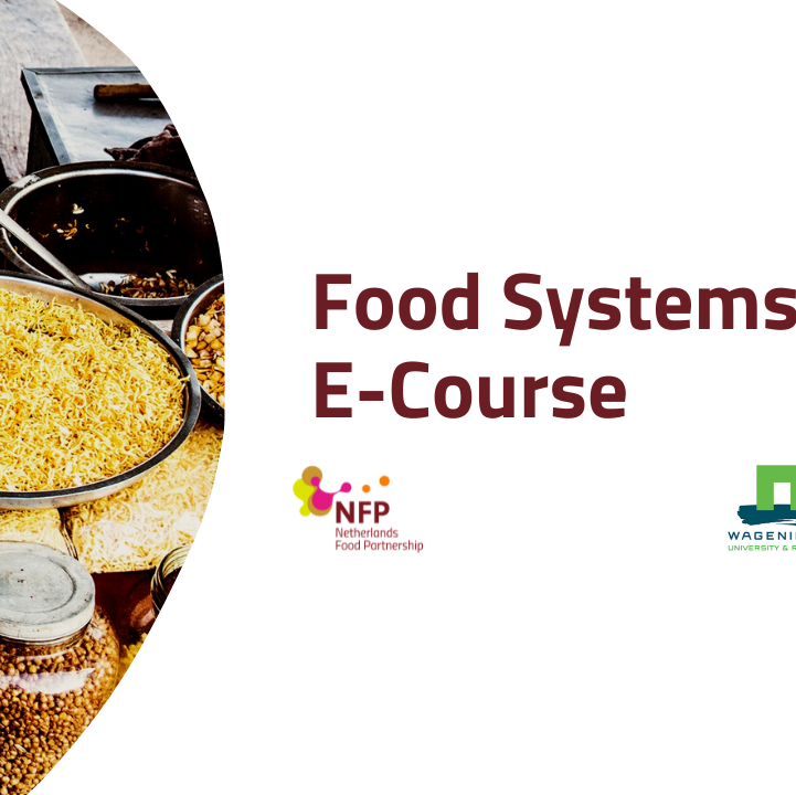 Food Systems e-course (1).jpg