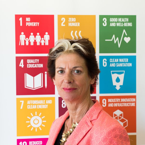 Gerda Verburg-colour-sdgs.jpg