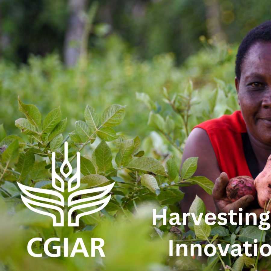 Harvesting Research and Innovation for Impact