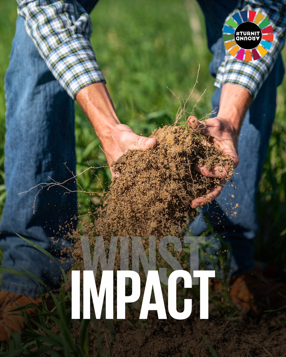 Impact STAAND