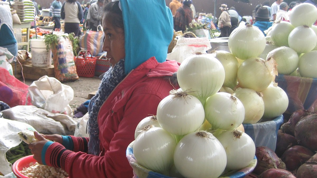 Global webinars to share best practice and enhance impact in horticulture sector