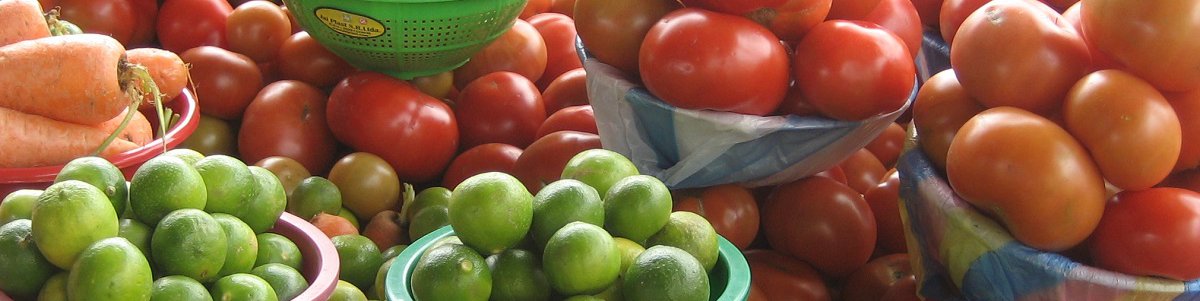 NFP and the Horticulture Human Cap coalition