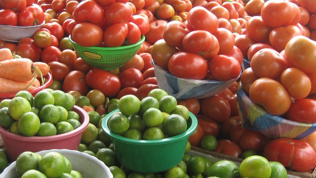 NFP and the Horticulture Human Cap coalition