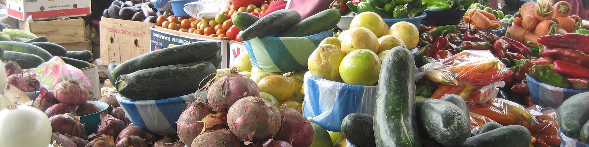 Food Systems CoP