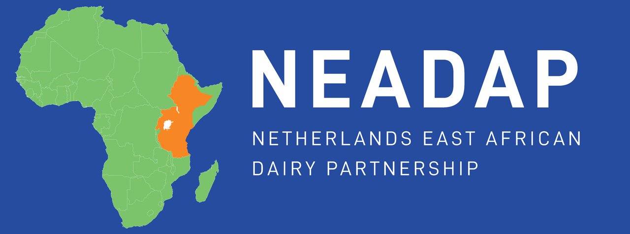 NEADAP-Logo-v2.2-5.jpg